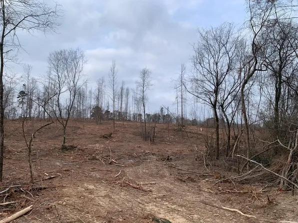 TRACT 4 Highway 11395 #84, Bismarck, AR 71929