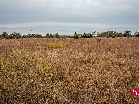 Prairie view 150