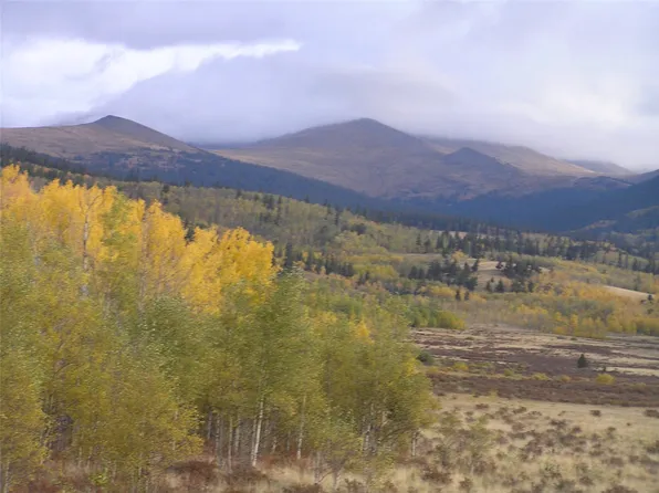 918 Little Baldy Cir, Fairplay, CO 80440