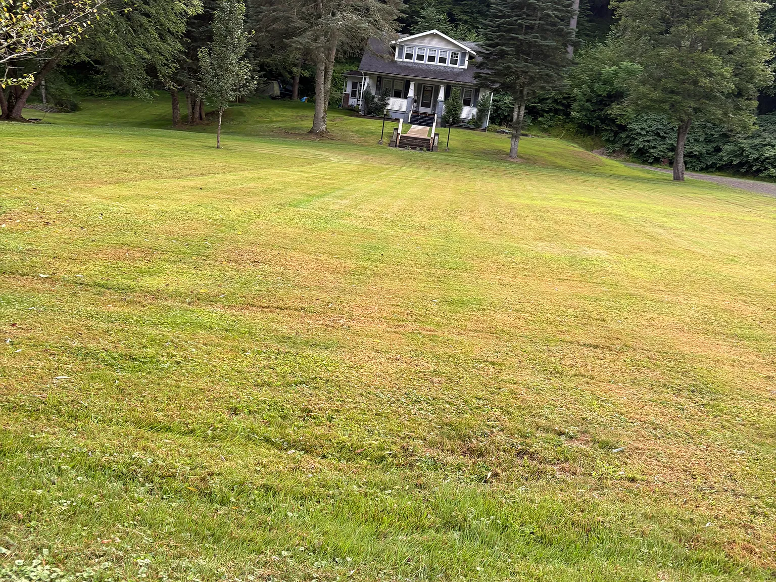 3 bed, 1680 sqft, $1,900 — Photo 4