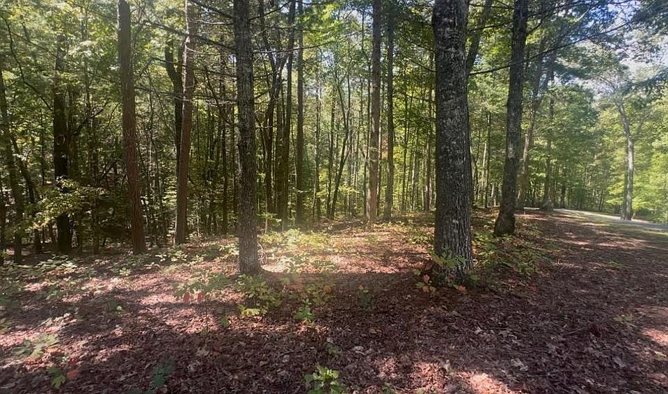 1st image of 181 Nature Valley Trl Lot 24
