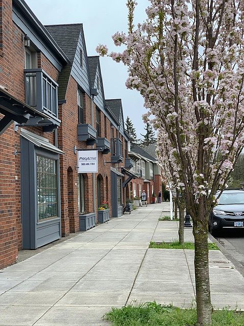 Village Street
