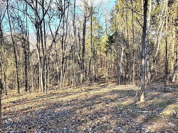 3rd image of 224 Walnut Bend Dr