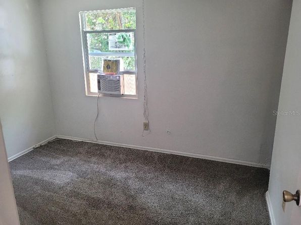 tampa-florida-82036393 picture