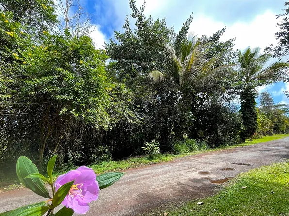 Ocean View Pkwy Lot 892, Pahoa, HI 96778