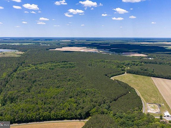 2nd image of Basket Switch Rd