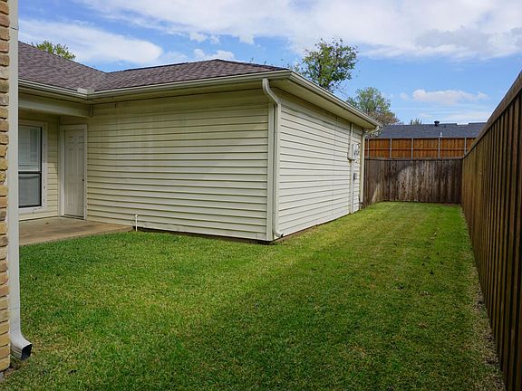 Back yard