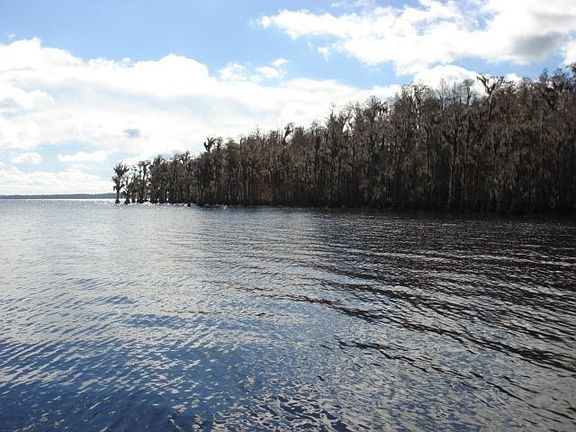 More of the Lake Louisa and Preservation (from dock)