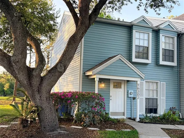 16302 Rambling Vine Dr W, Tampa, FL 33624