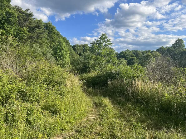 0 Lockhart Town Rd, Coalmont, TN 37313