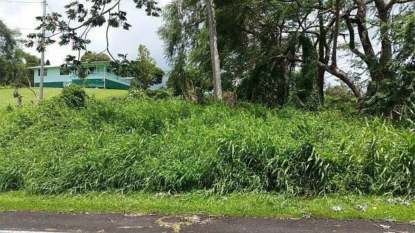 1st image of 17-258 Palaai St