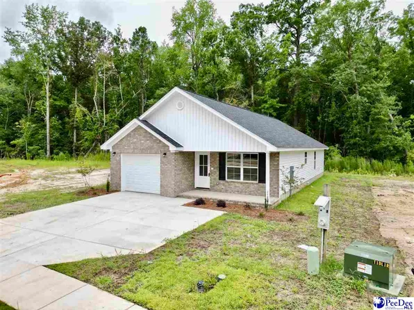 3280 Spiral Ln, Effingham, SC 29541