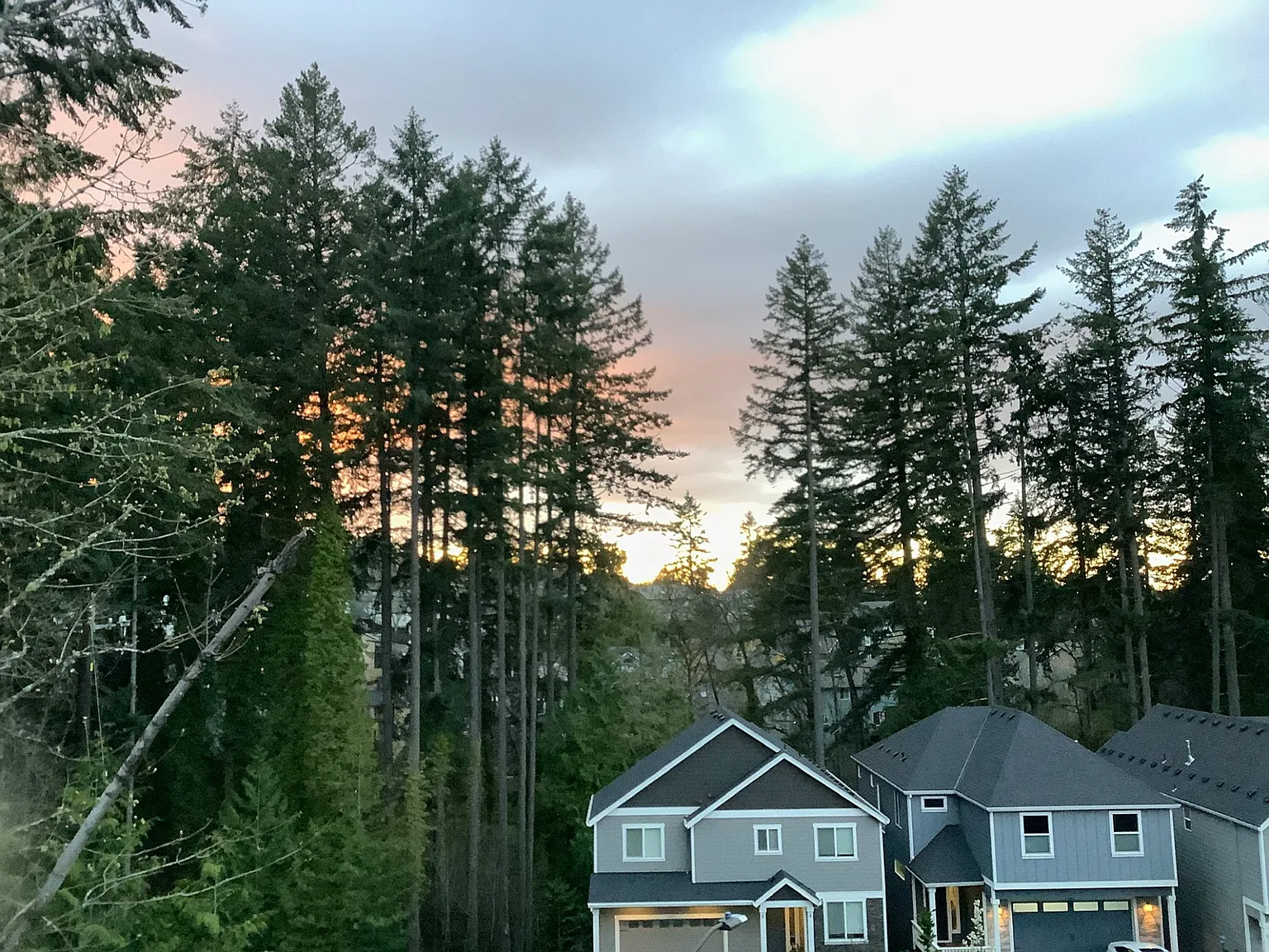 5 bed, 3.5 bath, 3020 sqft, $3,600 — Photo 4