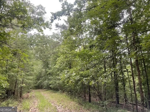 933 Apex Ct, Ranger, GA 30734