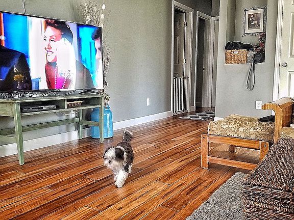 Solid Bamboo Hardwood