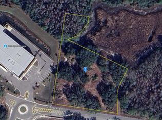27561 Dayflower Blvd, Wesley Chapel, FL 33544