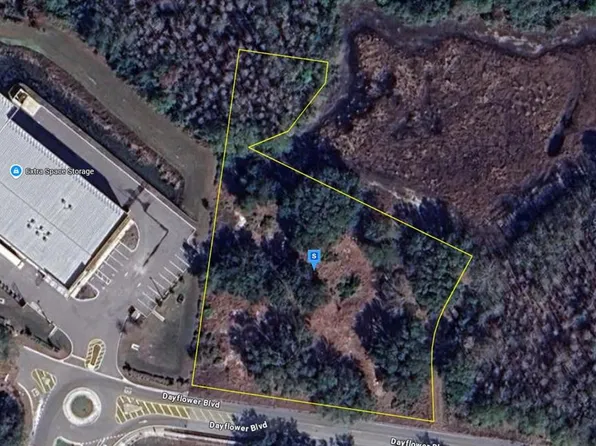 27561 Dayflower Blvd, Wesley Chapel, FL 33544