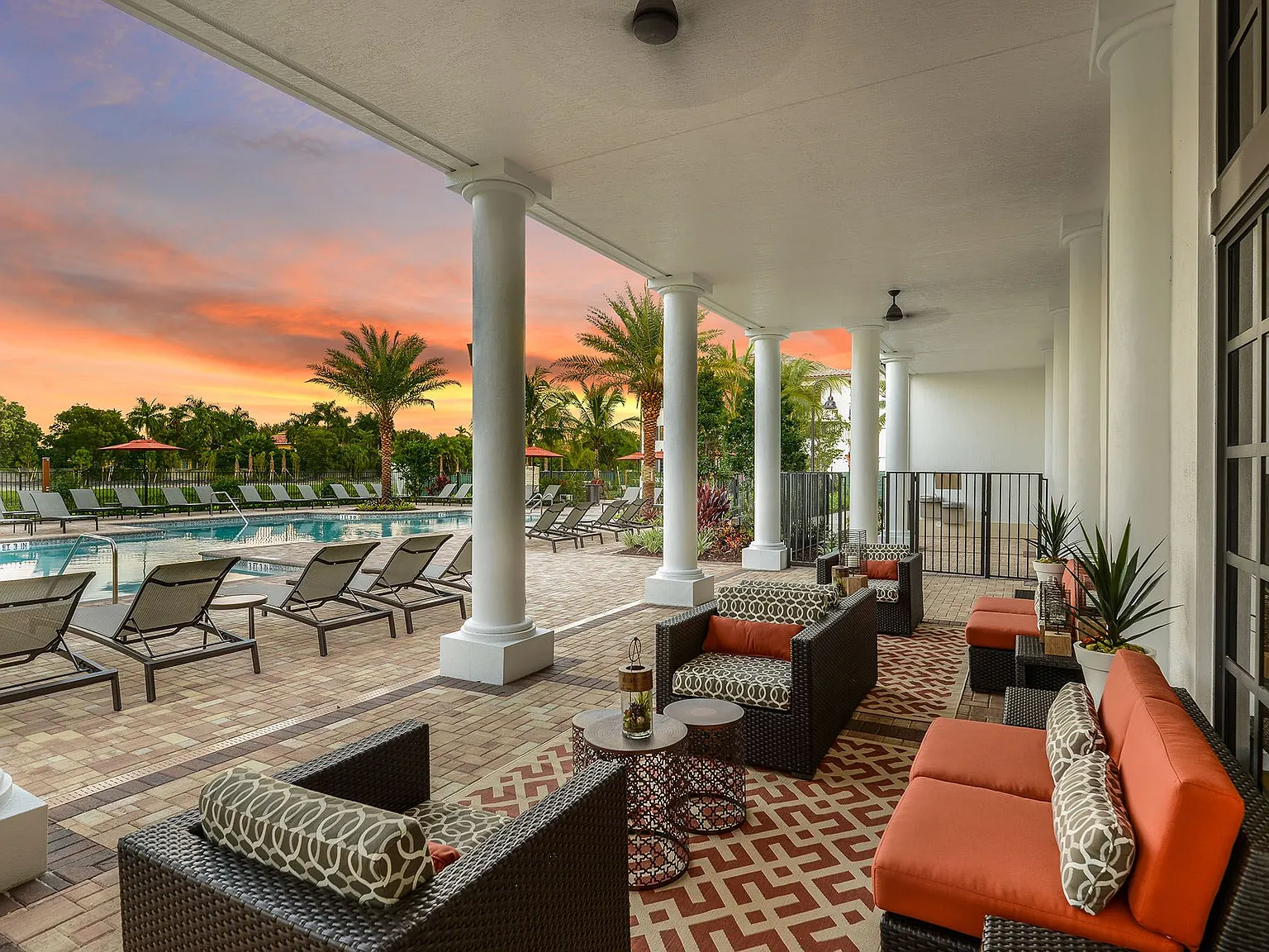 Palm Ranch — Photo 3