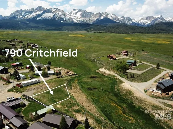 790 Critchfield St, Stanley, ID 83278