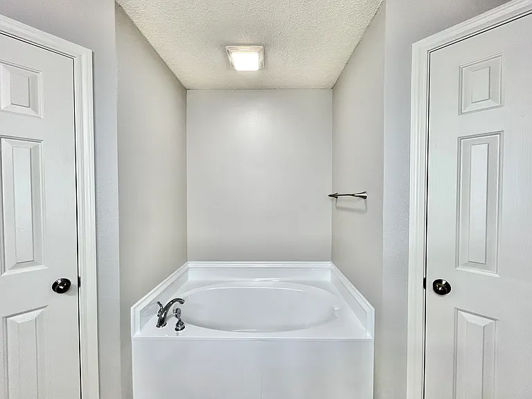 Master bathtub