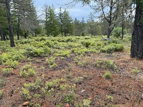 4th image of 32001 Redwood Hwy