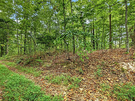 3rd image of 0 Timber Ridge Ln Lot 28&29