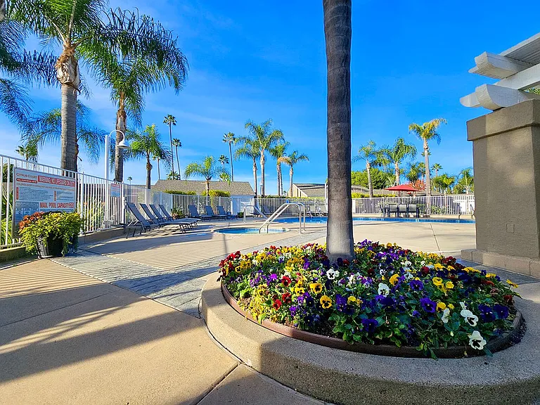 Citrus Court Apartments — Photo 43