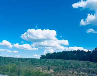 56 County Road 1171 Lot 3, Cullman, AL, 35057