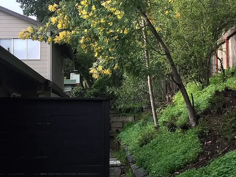 10 Ash Ave #A — Photo 16