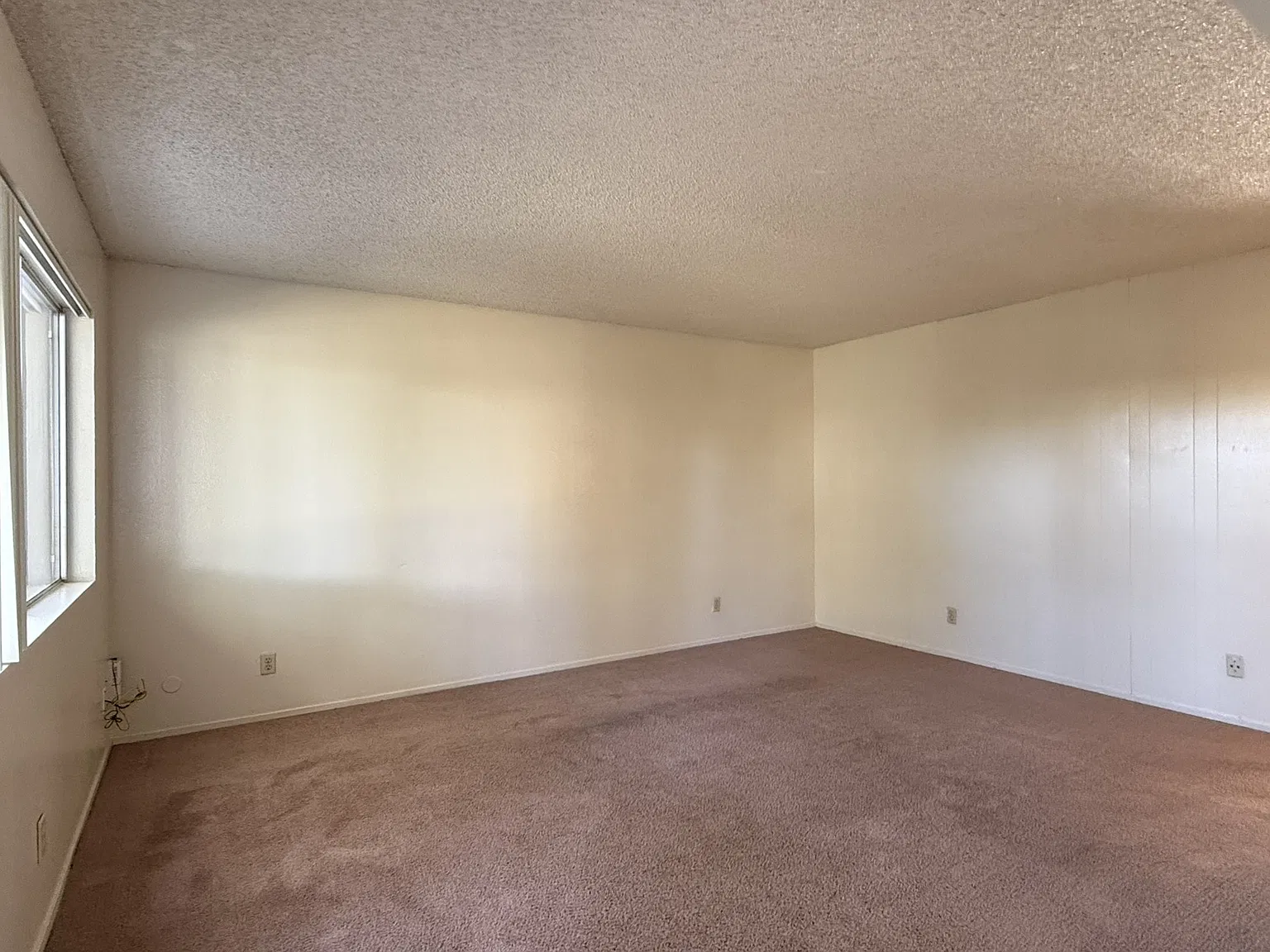 2 bed, 687 sqft, $1,095 — Photo 3