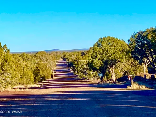 8309-8313 & #8315, Show Low, AZ 85901