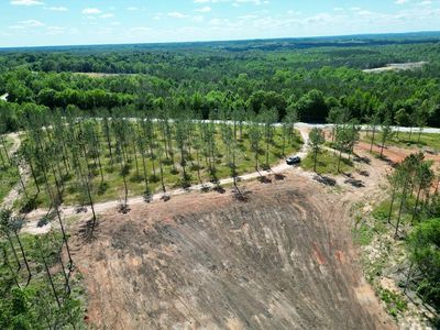 5 Al Br #223, Banks, AL, 36005