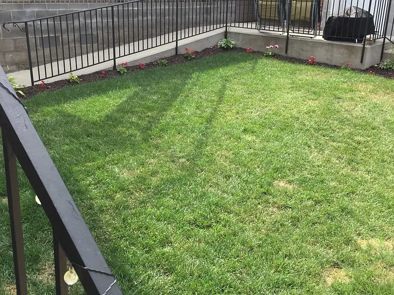 Rear lawn
