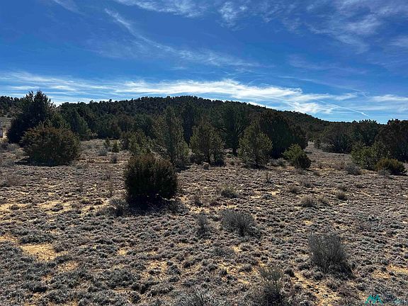 2nd image of Wild Horse Rnch
