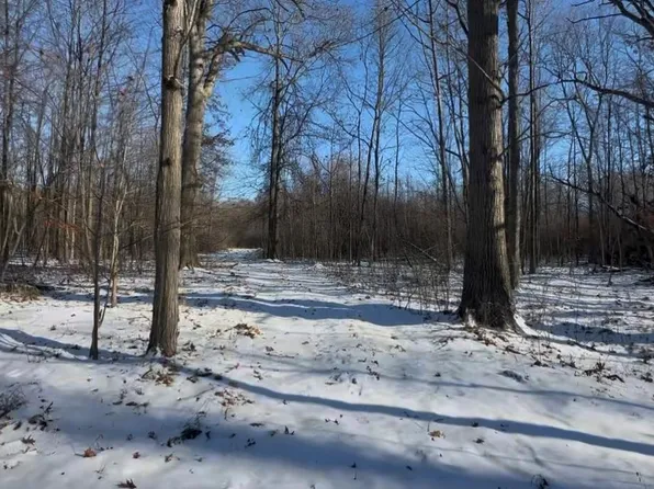 7021 Palms Rd, Ira, MI 48023