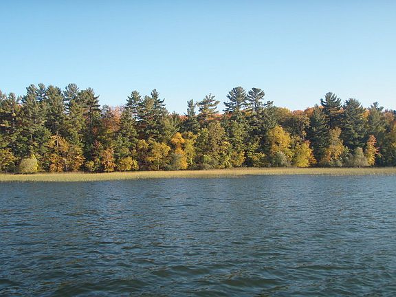 View from Lake
						:
						Looking at the shoreline of the listed lots