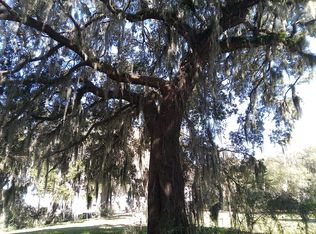 313 Rossdhu Ave, Pawleys Island, SC 29585