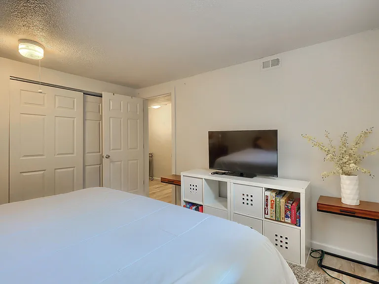 Basement Bedroom - 5th Bedroom