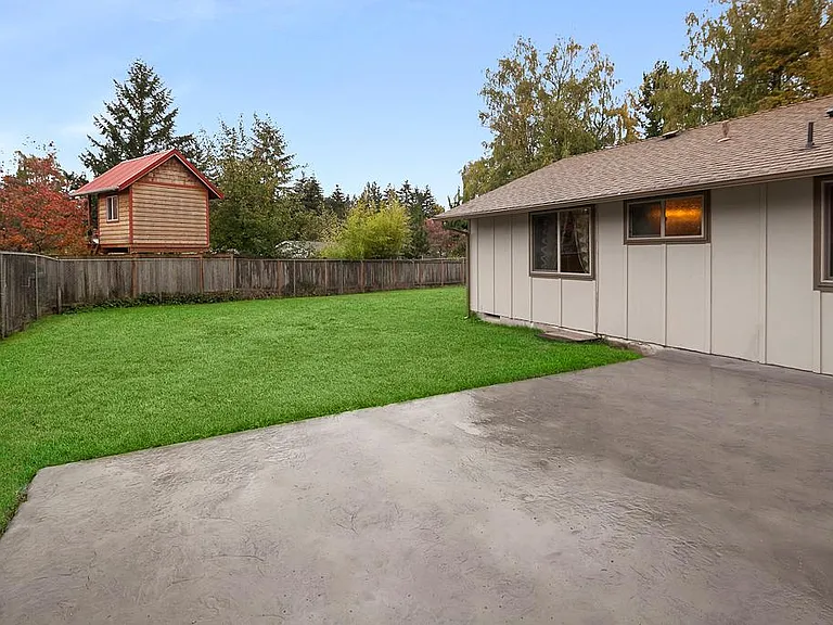 back yard