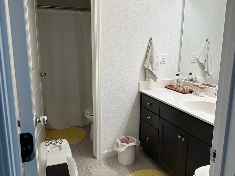 2481 Freestone Dr — Photo 3