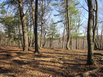 50 Song Mountain Dr, Tafton, PA, 18464