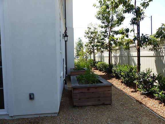 Side Yard