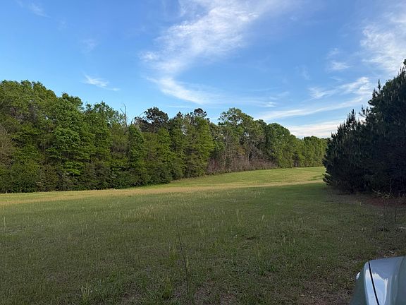 4th image of 29.47 Acre Hwy #13