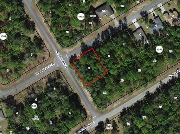 156 W GOLDCOAST PLACE LOT 1, CITRUS SPRINGS, FL 34434