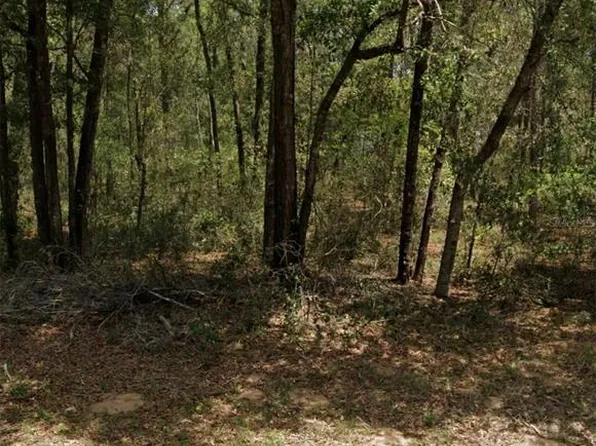 9231 N Sherman Dr Lot 12, Dunnellon, FL 34434