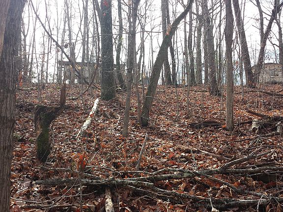 View from back of acreage