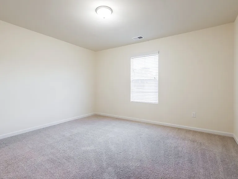 322 Hamilton Pointe Dr — Photo 15
