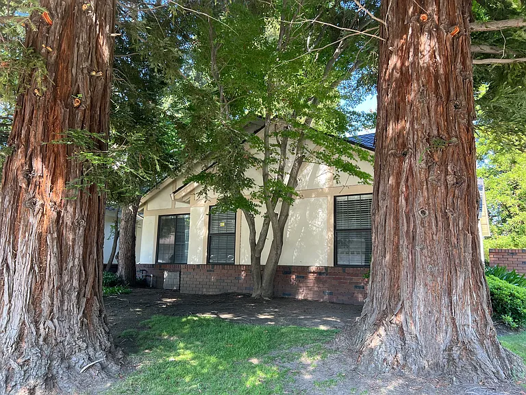 1179 Seamas Ave — Photo 17