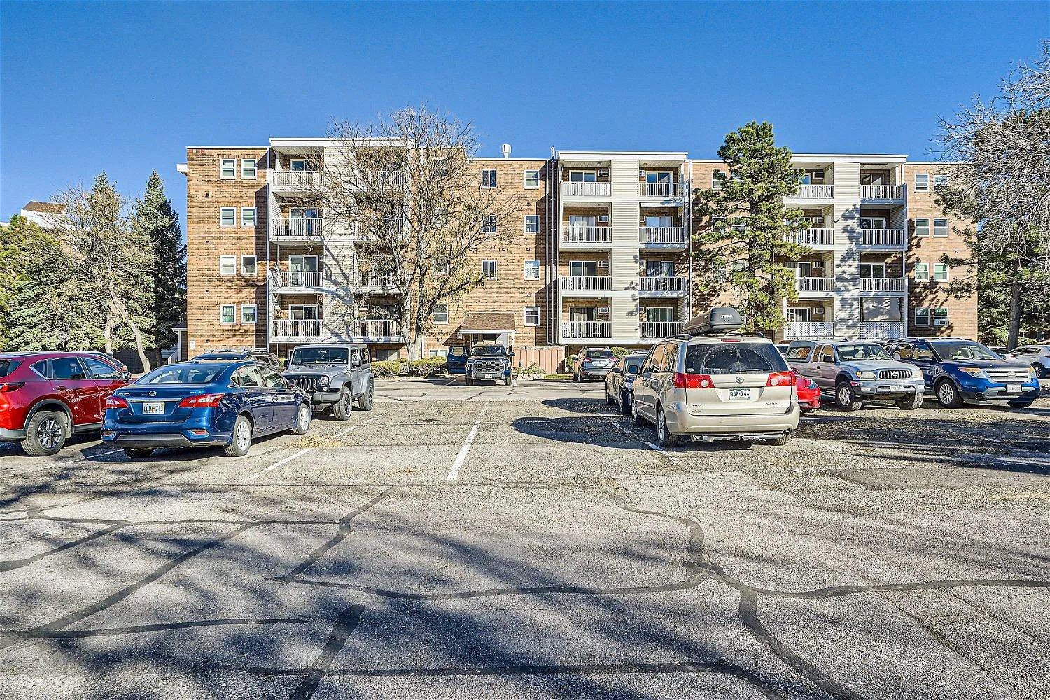 1 bed, 800 sqft, $1,675 — Photo 1