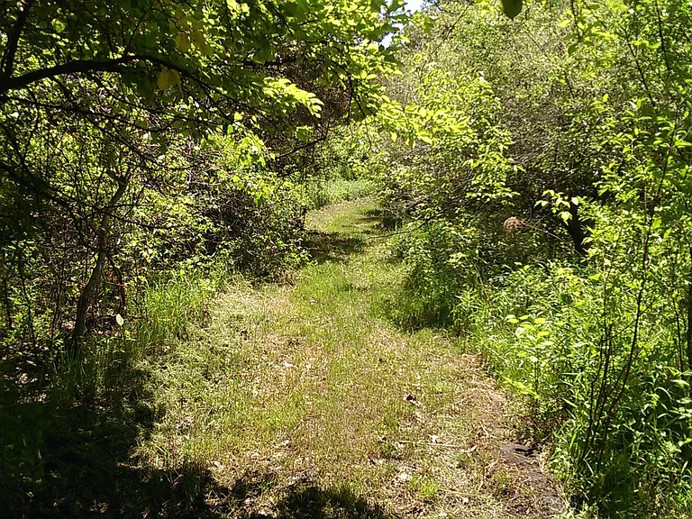 4772 Bailey Bridge Rd — Photo 21